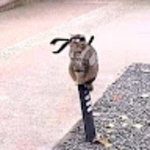 Meet your Posher, Arianna